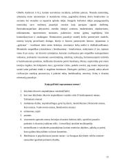 Estetinis pažinimas ir suvokimas 12 puslapis