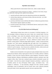 Estetinis pažinimas ir suvokimas 13 puslapis