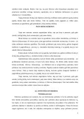 Estetinis pažinimas ir suvokimas 3 puslapis