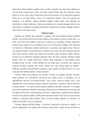 Estetinis pažinimas ir suvokimas 5 puslapis