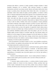 Estetinis pažinimas ir suvokimas 7 puslapis