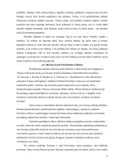 Estetinis pažinimas ir suvokimas 8 puslapis