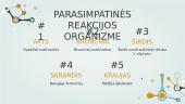 Gamtamokslinis pranešimas: periferinė nervų sistema 14 puslapis