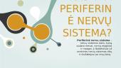 Gamtamokslinis pranešimas: periferinė nervų sistema 3 puslapis