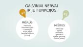 Gamtamokslinis pranešimas: periferinė nervų sistema 7 puslapis