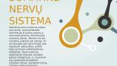 Gamtamokslinis pranešimas: periferinė nervų sistema 10 puslapis