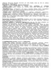 Etikos mokslo objektas 3 puslapis