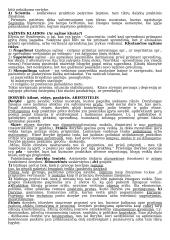 Etikos mokslo objektas 6 puslapis