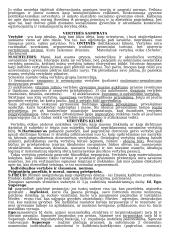 Etikos mokslo objektas 7 puslapis