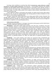 Etniškumas ir rasė 2 puslapis