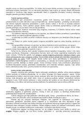 Etniškumas ir rasė 3 puslapis