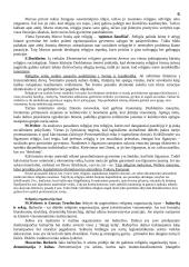 Etniškumas ir rasė 6 puslapis