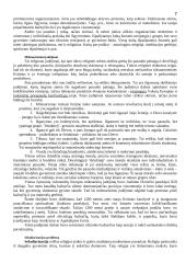 Etniškumas ir rasė 7 puslapis