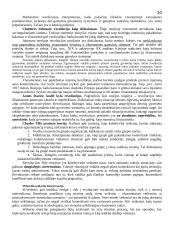 Etniškumas ir rasė 10 puslapis