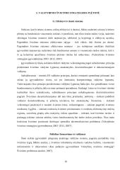 Valstybinio švietimo strateginių nuostatų įgyvendinimo pradiniame ugdyme problemos 16 puslapis