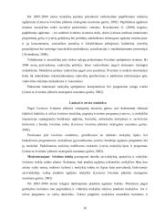 Valstybinio švietimo strateginių nuostatų įgyvendinimo pradiniame ugdyme problemos 19 puslapis