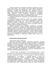 Eukariotai 11 puslapis