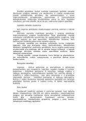 Eukariotai 13 puslapis