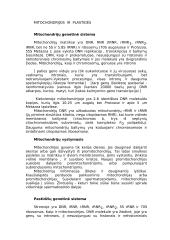 Eukariotai 3 puslapis