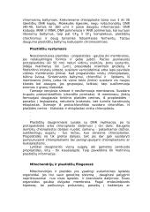 Eukariotai 4 puslapis