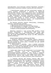 Eukariotai 5 puslapis