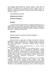 Eukariotai 6 puslapis