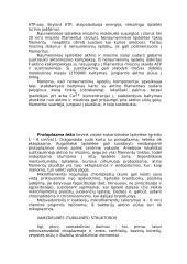 Eukariotai 7 puslapis