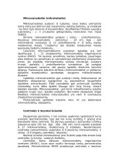 Eukariotai 8 puslapis