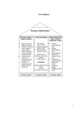 Europos Sąjunga, jos struktūra ir institucijos 3 puslapis