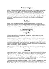 Lietuvos miškai: Labanoro, Šimonių girios 4 puslapis