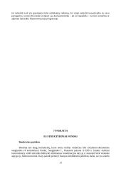 Europos Sąjungos struktūriniai fondai, jų struktūra ir reikšmė 12 puslapis