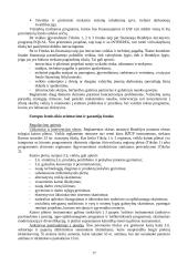 Europos Sąjungos struktūriniai fondai, jų struktūra ir reikšmė 17 puslapis