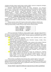 Europos Sąjungos struktūriniai fondai, jų struktūra ir reikšmė 20 puslapis