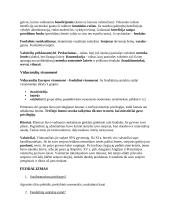 Istorijos sąvokos, datos, asmenybės viduramžiai 3 puslapis