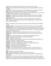 Istorijos sąvokos, datos, asmenybės viduramžiai 6 puslapis