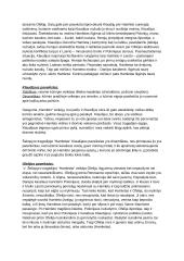 Viljamo Šekspyro “Hamletas” bei jo sonetai 2 puslapis