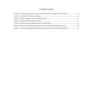 Lygčių ir nelygybių simbolinio sprendimo lygiagretusis metodas 6 puslapis