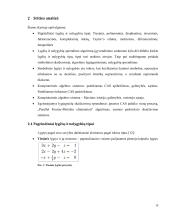 Lygčių ir nelygybių simbolinio sprendimo lygiagretusis metodas 10 puslapis