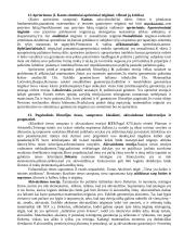 Filosofijos koliokviumas 11 puslapis