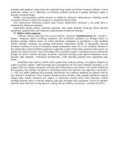 Filosofijos koliokviumas 15 puslapis