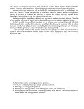 Filosofijos koliokviumas 3 puslapis