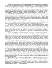 Filosofijos koliokviumas 7 puslapis