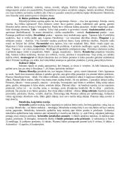 Filosofijos pradmenų teorija 2 puslapis