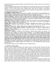 Filosofijos pagrindai koliokvumui 2 puslapis