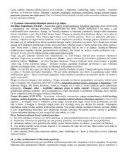 Filosofijos pagrindai koliokvumui 10 puslapis