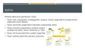 Kolagenas  11 puslapis