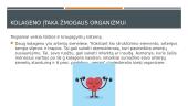 Kolagenas  18 puslapis