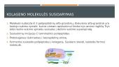 Kolagenas  3 puslapis