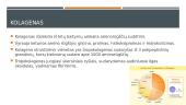 Kolagenas  6 puslapis