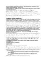 Filosofija - pradmenys 6 puslapis